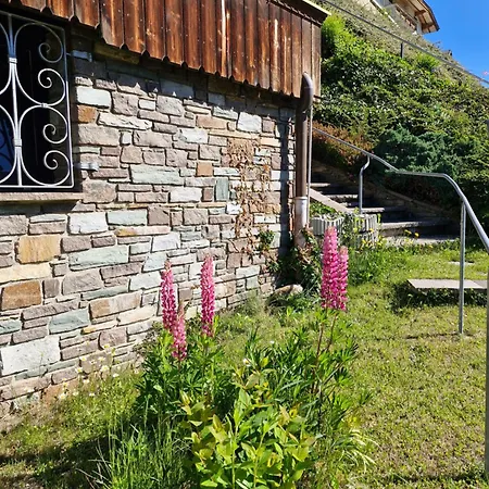 Bergblick Vakantiehuis *